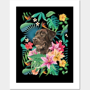 Tropical Chocolate Labrador Retriever 3 Posters and Art